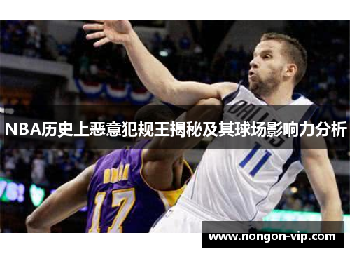 NBA历史上恶意犯规王揭秘及其球场影响力分析